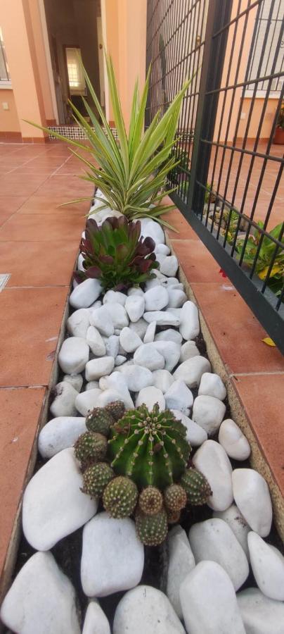 Villa Terreros San Juan De Los Terreros Ngoại thất bức ảnh
